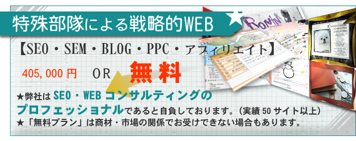 ���ꕔ���ɂ��헪�IWEB
